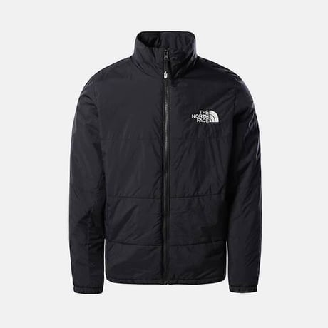 新品 the north face 2023aw puffer jacket