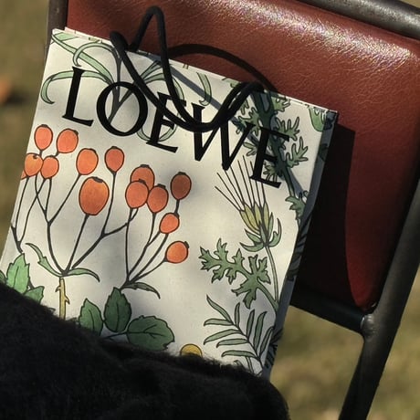 【国内正規】loewe anagram mohair muffler B