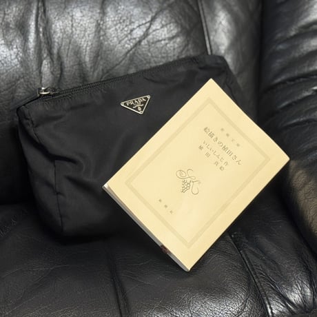 prada pouch