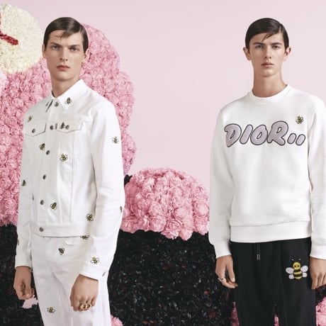dior 2019ss bee hoodie