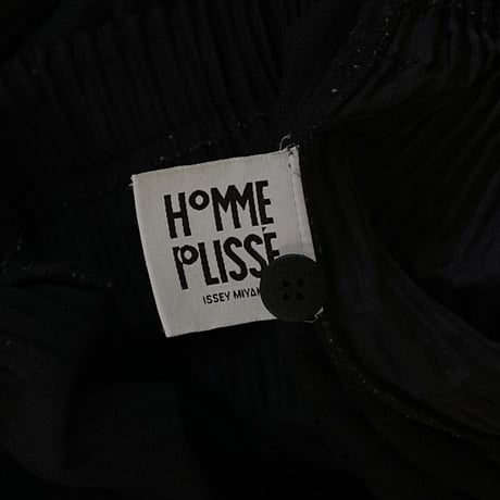 homme plisse issey miyake pleats #2