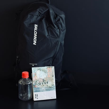 新品 salomon back pack