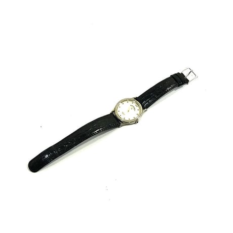 elgin watch