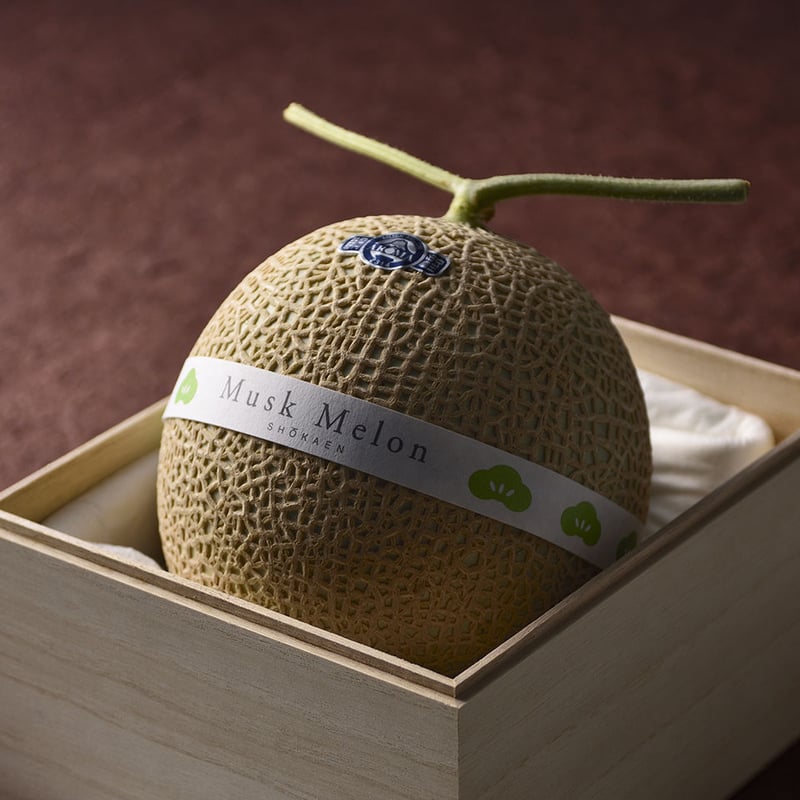 メロン 桐箱入り】最高級静岡マスクメロン・1個入り | 松香園