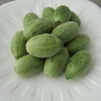 子メロン