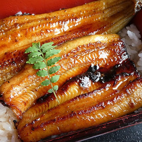 静岡うなぎ長蒲焼ギフト4（送料込）