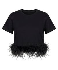 Fallen Feather : Tee Shirt (BLACK)