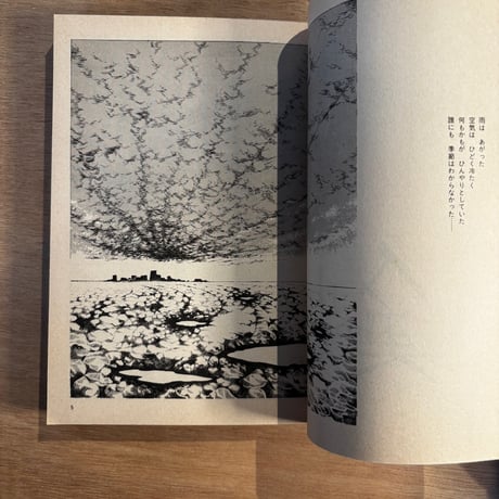 幻想短編集「魚の少年」坂口 尚