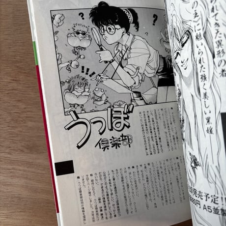 COMIC GAIA No.4（1991年刊）