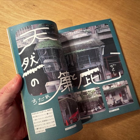 鉄窓花書房「台湾の熱帯植物を愛でる」