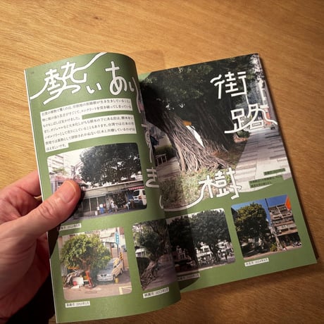 鉄窓花書房「台湾の熱帯植物を愛でる」