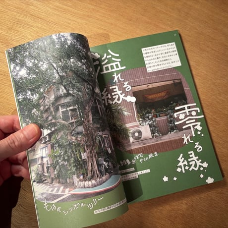 鉄窓花書房「台湾の熱帯植物を愛でる」