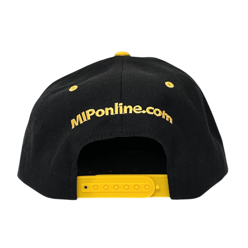 ARIES キャップ スナップバック ARIES Credit Card Snapback Cap