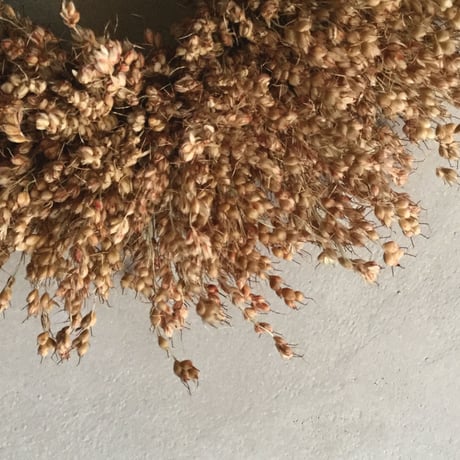 Dried Broom Corn Wreath (玉すだれのドライリース)