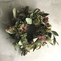 Protea Niobe & Eucalyptus Swag (プロテア・ニオべとユーカリの