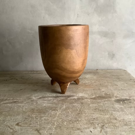 Monstera variegata with Acacia wood Planter cover Ver,2(モンステラ・バリエガータ/アカシア木製 鉢カバー付き ヴァージョン２)