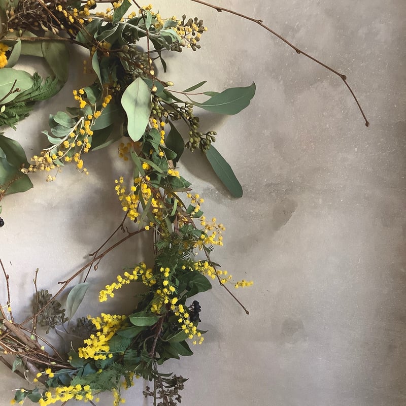 Mimosa oval wreath (ミモザのオーバルリース) | blossom onli Mimosa oval wreath (ミモザのオーバルリース) | blossom onli