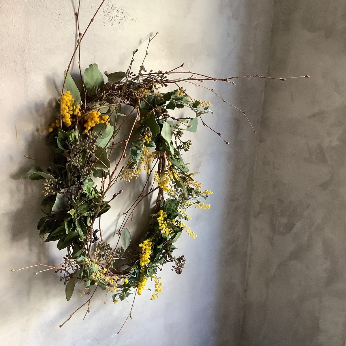 Mimosa oval wreath (ミモザのオーバルリース) | blossom onli Mimosa oval wreath (ミモザのオーバルリース) | blossom onli