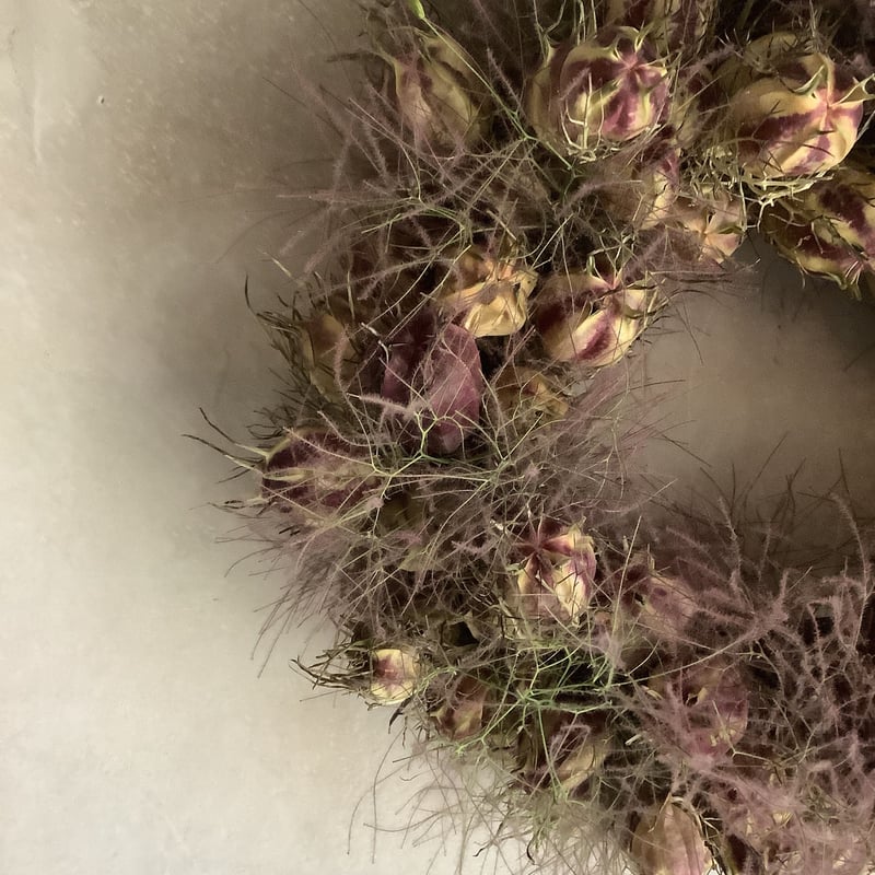 Dried Nigella & Smoke Tree Wreath (ニゲラとスモークツリーの