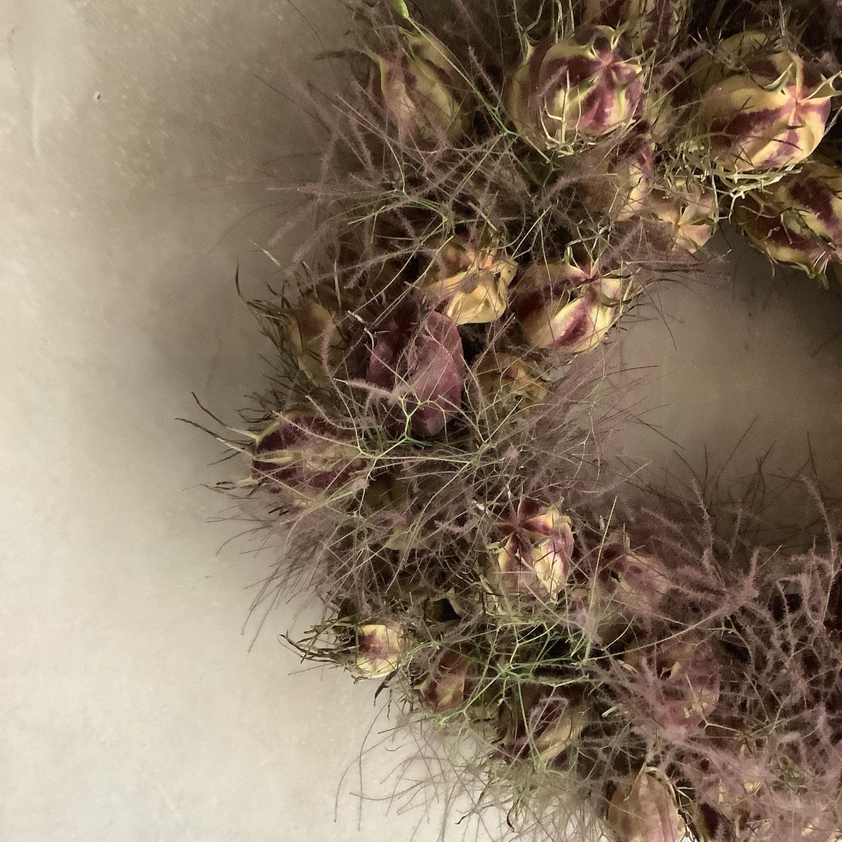 Dried Nigella & Smoke Tree Wreath (ニゲラとスモークツリーの