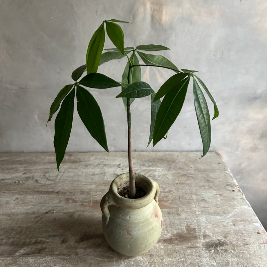 68f44d2187fb37ece3007a77