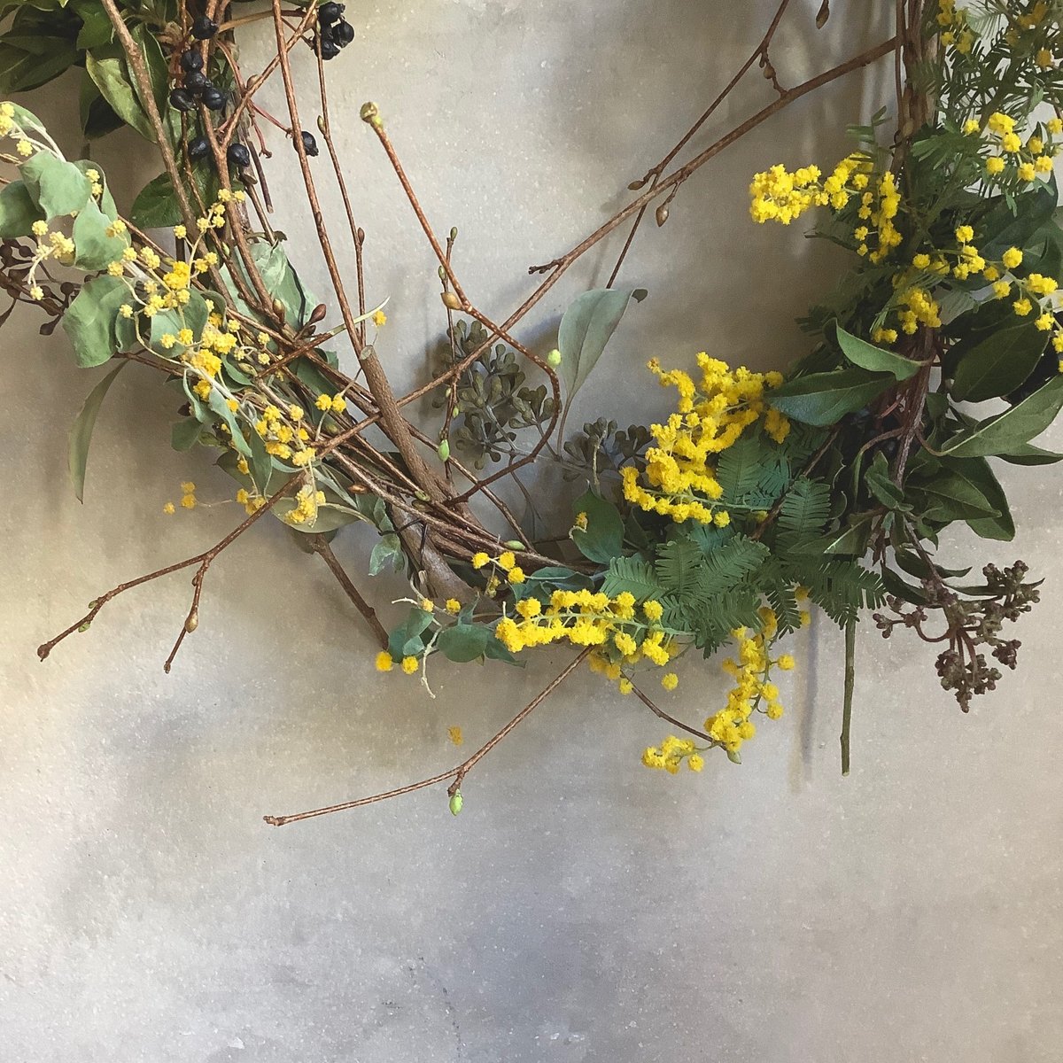 Mimosa oval wreath (ミモザのオーバルリース） | blossom onli
