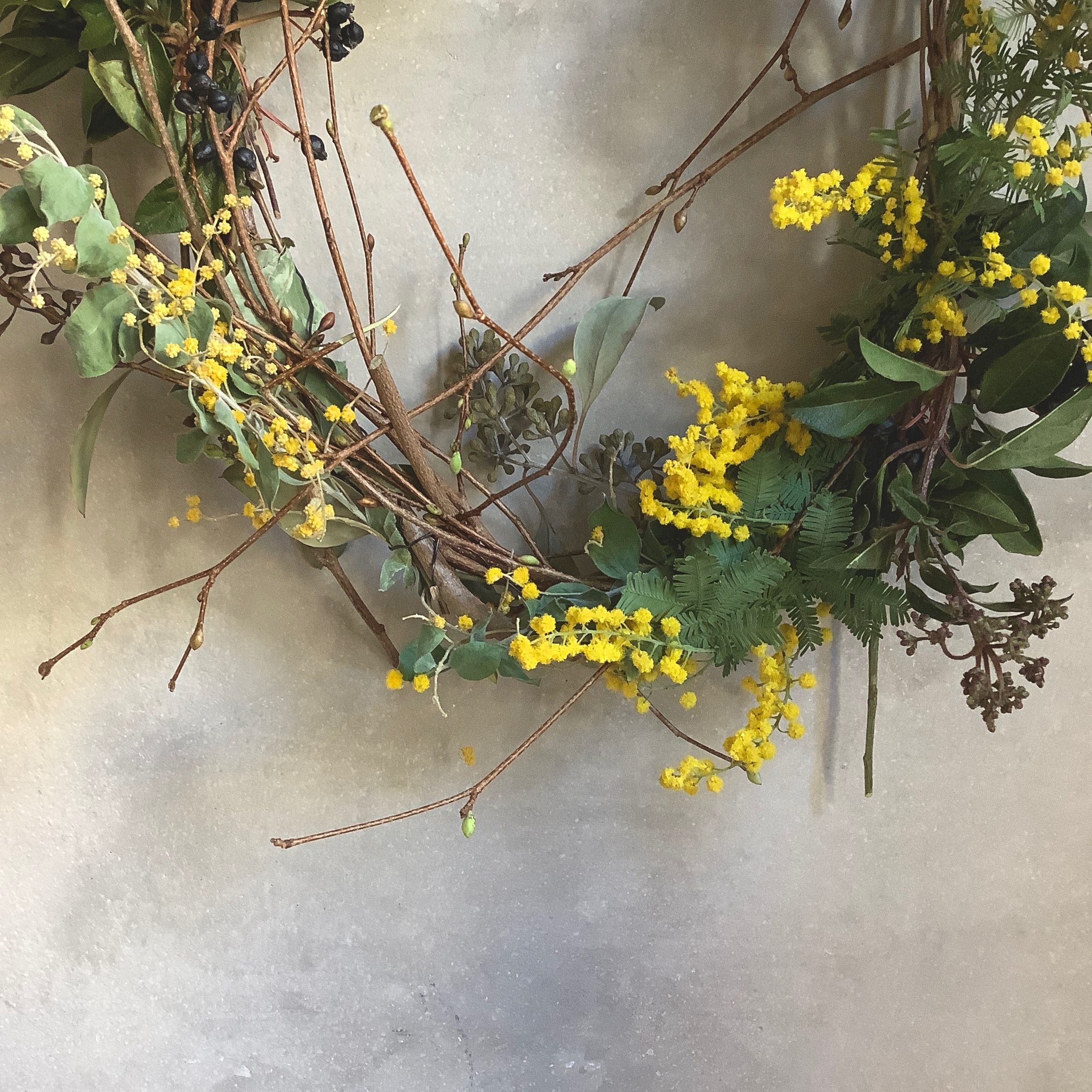 Mimosa oval wreath (ミモザのオーバルリース） | blossom onli