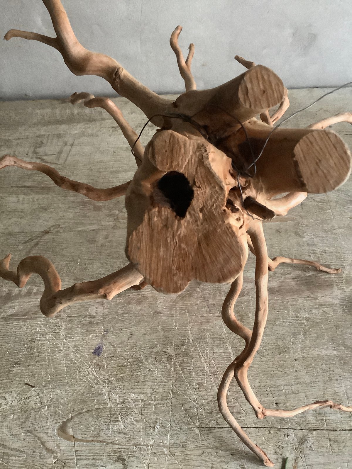 愛知県産 大型流木