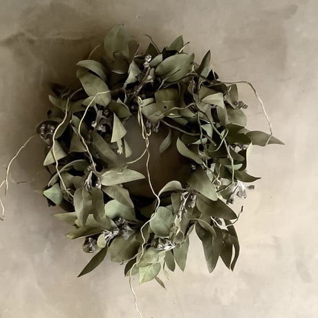Eucalyptus tetragona Wreath(ユーカリ・テトラゴナのリース)