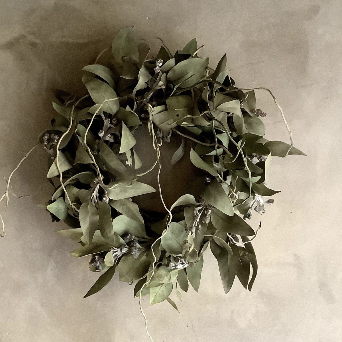 Eucalyptus tetragona Wreath(ユーカリ・テトラゴナのリース) | b