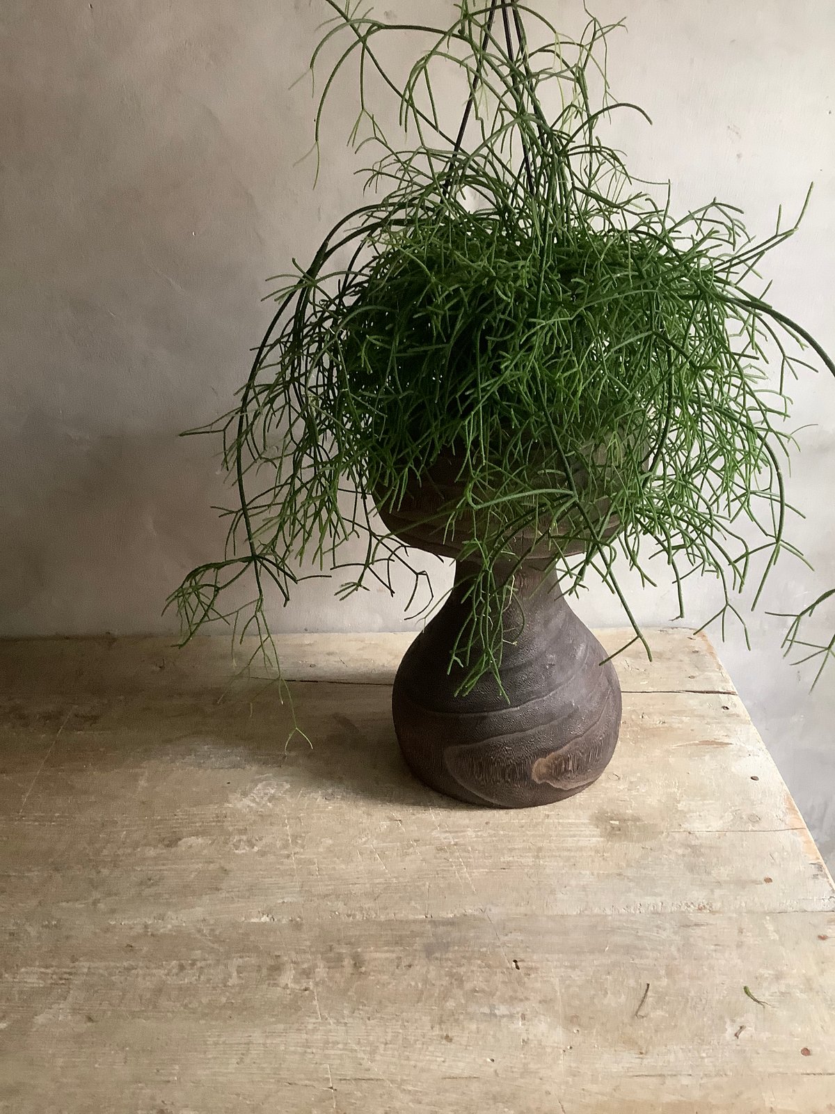 Wood Stool ウッドスツール | blossom online shop