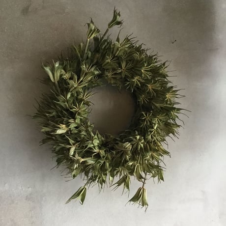 Dried Nigella Flower Wreath (ニゲラの実のドライリース)