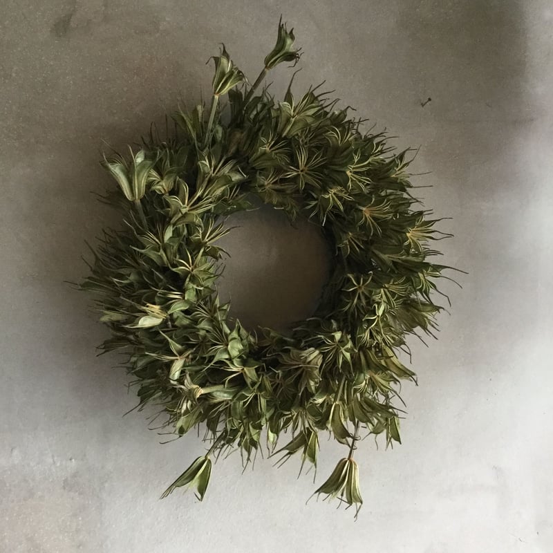 Dried Nigella Flower Wreath (ニゲラの実のドライリース) | bl