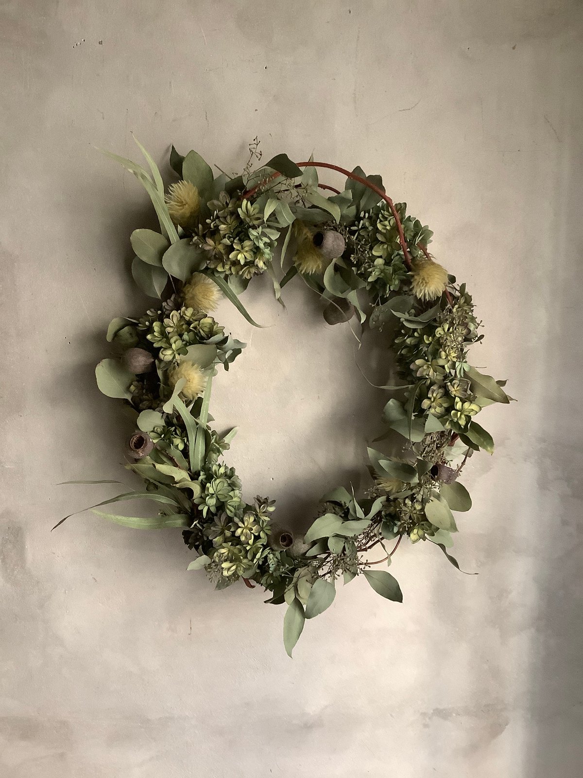 【リーフリース】ユーカリポポラス　leaf wreath リーフリース】ユーカリポポラス leaf wreath Thin leaf