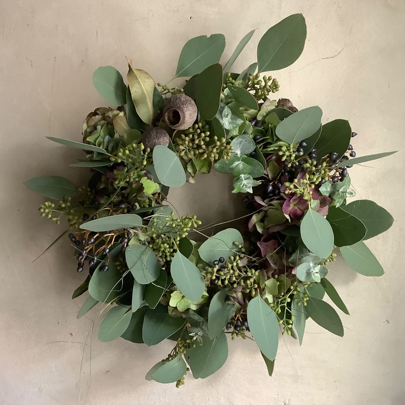 【リーフリース】ユーカリポポラス　leaf wreath リーフリース】ユーカリポポラス leaf wreath Thin leaf