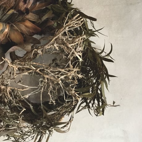 Tree Bush & Protea Niobe Wreath (ツリーブッシュとプロテア・ニオべのリース)