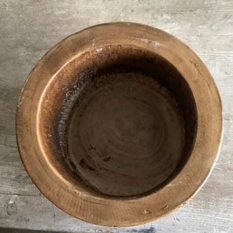 2025 Philodendron Billetae with Acacia wood Planter cover  (フィロデンドロン ビレッタエ/アカシア木製 鉢カバー付き)