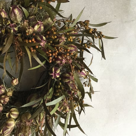 Dried Nigella & Eucalyptus Albida Wreath (ニゲラとユーカリ アルビダのドライリース)
