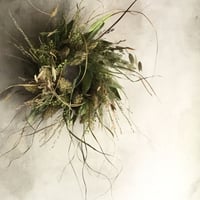Wheat grain wreath Reissue (ウィートグレインリース・リイシュー )