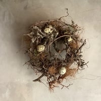 Birds nest wreath "Wagtail" (バーズネストリース・ワグテール)