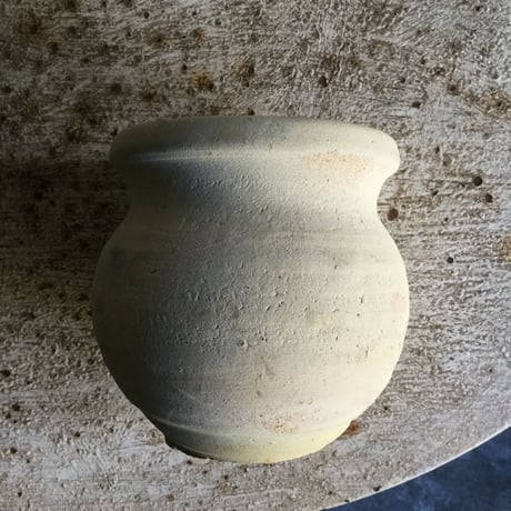 Dinema polybulbon with Tunisia pot(チュニジアポット付きディネマポリブルボン)