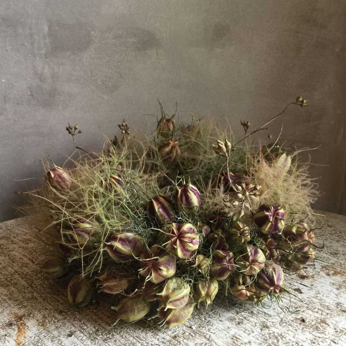 Dried Nigella & Smoke Tree Wreath (ニゲラとスモークツリーの