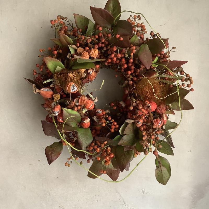 秋~木の実を重ねて ꎺ⠜ 季節の飾り✼ ドライフラワーリース 秋~木の実を重ねて ꎺ⠜ 季節の飾り✼ ドライフラワーリース 秋