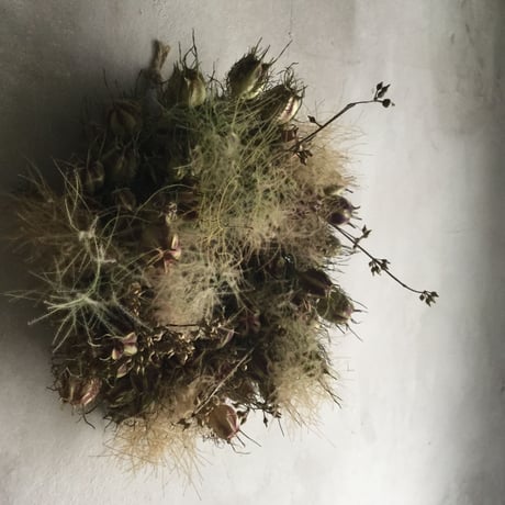 Dried Nigella & Smoke Tree Wreath (ニゲラとスモークツリーのリース)