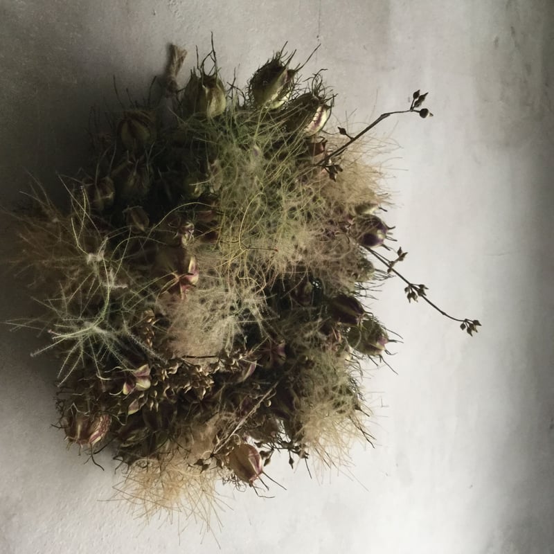 Dried Nigella & Smoke Tree Wreath (ニゲラとスモークツリーの