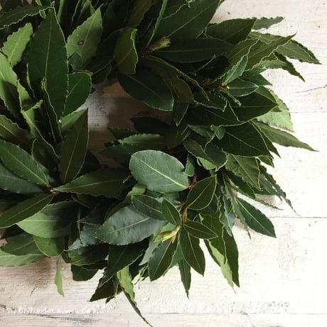 Bay Leaf Wreath & Swag (月桂樹のリース＆スワッグ)