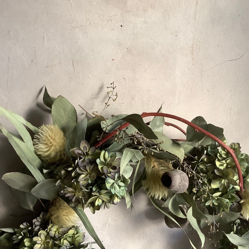 【リーフリース】ユーカリポポラス　leaf wreath リーフリース】ユーカリポポラス leaf wreath Antique hydrangea