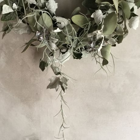 Silverleaf Wreath (ギンドロのシルバーリース)