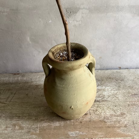 Ficus elastica ruby with Tunisia pot (チュニジアポット付きフィカスルビー )
