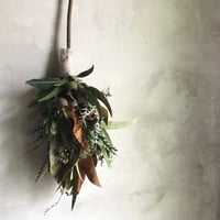 ネイティブスワッグ／プロテア／美しいワイルドスワッグ